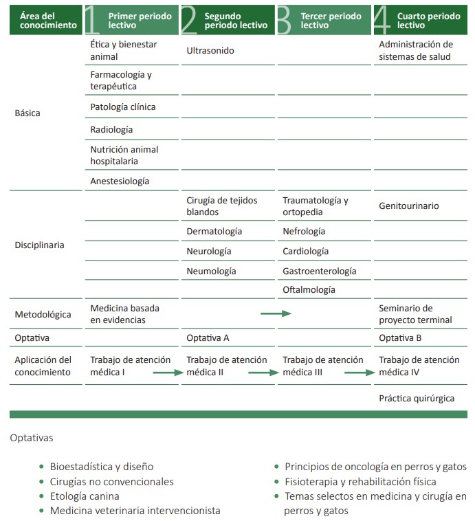 mapa curricular 